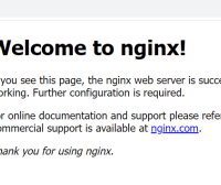 Windows下使用Nginx