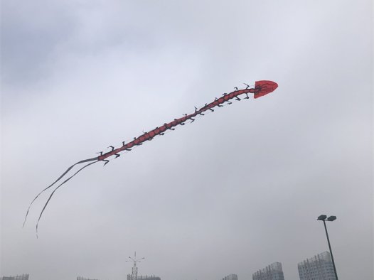 Go语言dns压力测试工具