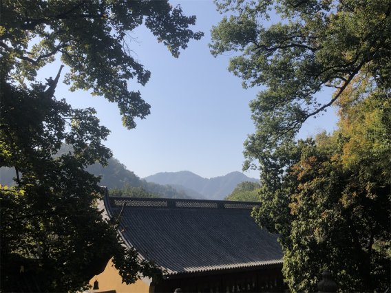 Go语言vegeta负载测试工具