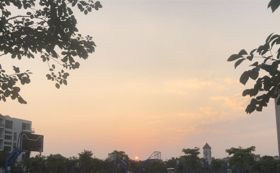 Go语言http-head工具