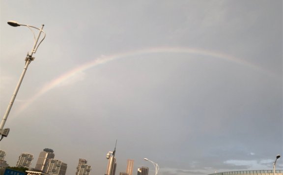 Go检查https证书过期工具