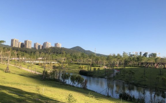 Go语言gowget下载工具