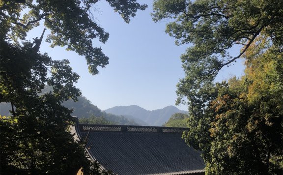 Go语言vegeta负载测试工具