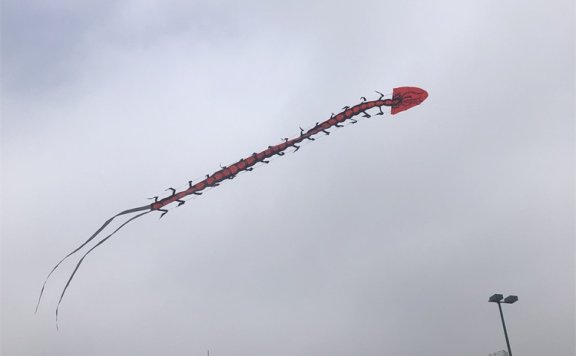 Go语言dns压力测试工具