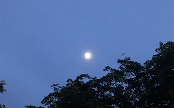 Go语言syncthing文件同步工具