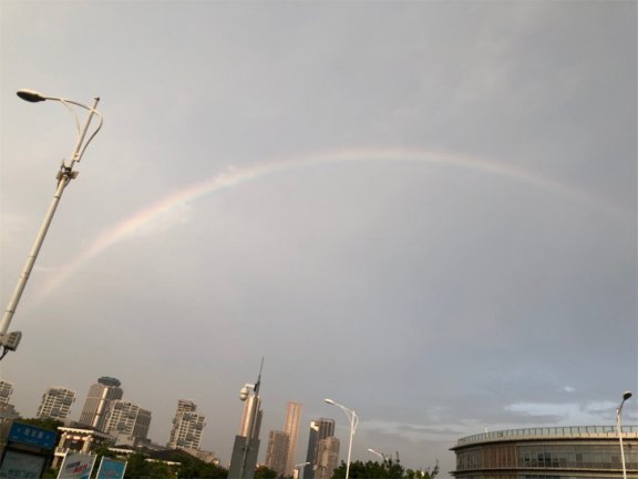 Go检查https证书过期工具