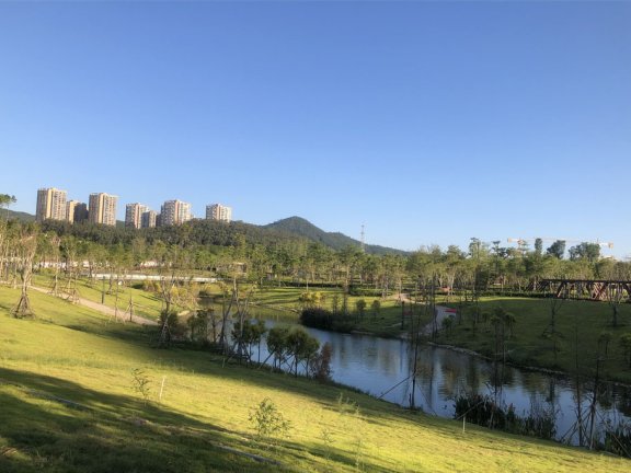 Go语言gowget下载工具