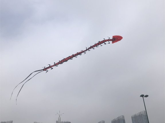 Go语言dns压力测试工具