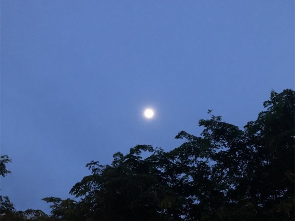 Go语言syncthing文件同步工具