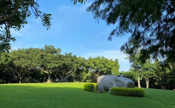 Go语言ctop监控容器工具